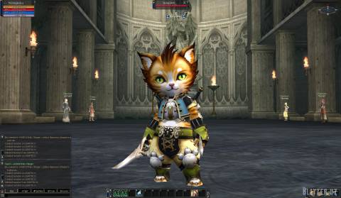 [NPC] Summon Cat Fighter для Interlude