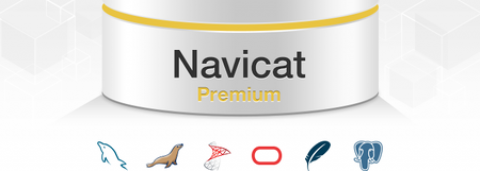Navicat Premium Enterprise Edition v8.2.9 + Crack